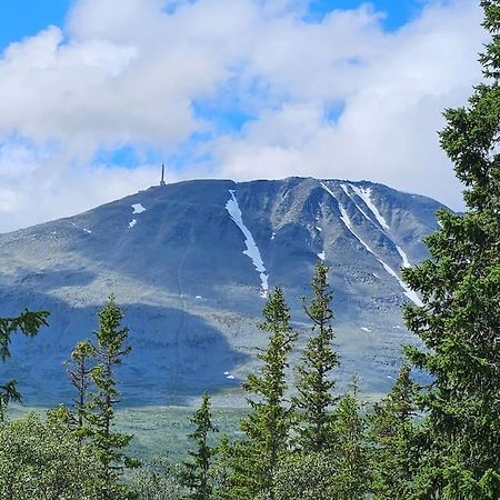 Ny Leilighet Med Flott Utsikt Til Gaustatoppen Rjukan Exteriör bild