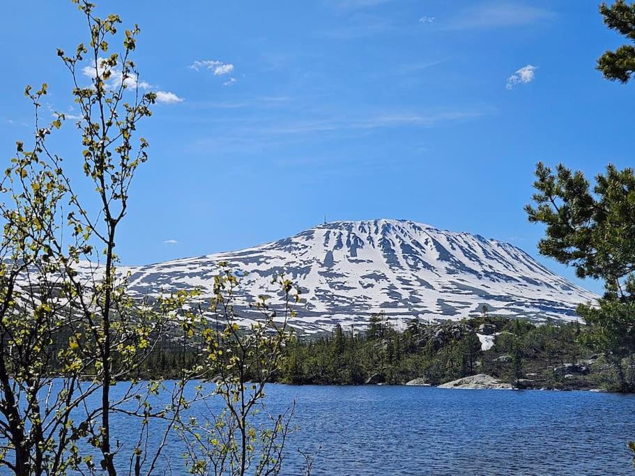 Ny Leilighet Med Flott Utsikt Til Gaustatoppen Rjukan Exteriör bild